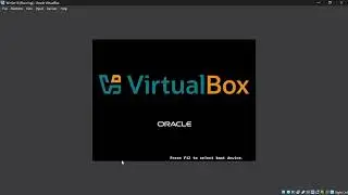 Configuring a Virtual Private Network (VPN) in VirtualBox