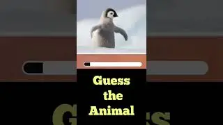 3-Second Animal Guessing Game: How Many Can You Get Right? #animals #shorts #quiz #educational #kids