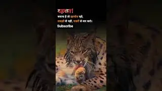 Dashhat #youtube #motivation #nanded #viral #subscribe #motivational #live #memes #trending