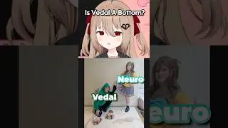 VEDAL IS A WHAT