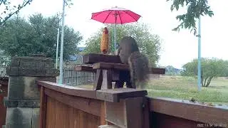 When you're trying to just eat alone ....