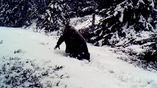 Et merkelig syn p&aring; viltkamera