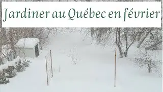 Jardinage en février Québec