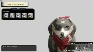 Monster Hunter Rise (2021) - Стоит ли играть в 2022?