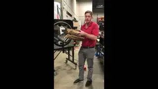 EP 6700 B Ring Wrapper 2 18