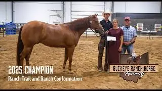 Dunit Whiz Cash | 2022 AQHA Gelding | Hip 315 Triangle Sale  | Buckeye Ranch Horse Futurity Champion