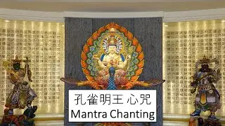 海濤法師讲解如何念孔雀明王心咒的功德可以帮忙消除不好的病毒 细菌和Radiation. help to remove bad virus like COVID-19 Coronavirus 病痛病苦