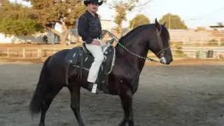 Juan Manuel Ortega         El Perdedor