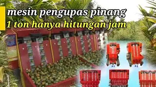 Mesin pengupas pinang super cepat