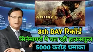 Animal Box Office Collection | Animal Box Office Collection Day 8, Ranbir Kapoor