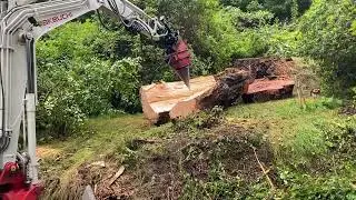 Takeuchi Destroys Massive Log Cone Splitter #timber #forestry #treework #treesurgeon #excavator