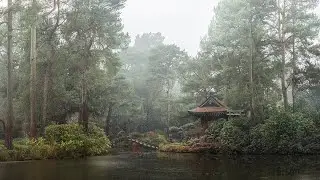The Japanese Garden at Tatton Park, built in the early 20th century amongst the beautiful trees