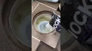 Adding Shock & Clear To Skimmer Box 😎 #pool #satisfying #reels #shocking