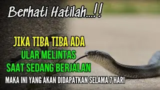 BERHATI HATILAH !! JIKA TIBA TIBA ADA ULAR MELINTAS SAAT SEDANG BERJALAN, ARTI BERTEMU ULAR DI JALAN