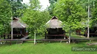 Tambopata Wild - La Habana Amazon Reserve