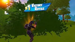 Fortnite Chapter 2 Remix Remedy vs Toxin (Purple) Victory Royale