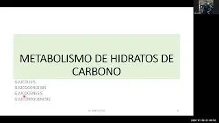 Metabolismo I