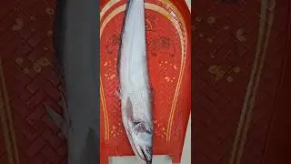 Giant Catfish Cutting ASMR 😍 | Ultra Satisfying Fillet Skills #shorts #catfish #recipe #boalfish