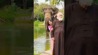 Peaceful ASMR Nature &ndash; Elephant by the River