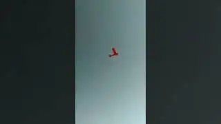 Rubber powered airplane #shorts #pesawatkaret