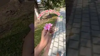 A Day in My Simple Little Life\मेरी लाइफ़ के छोटे-छोटे पल\#youtubeshorts #agriuniversity #day
