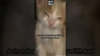 After exam effect. .