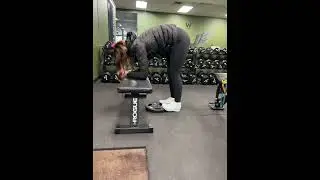 At Home Donkey Calf Raise