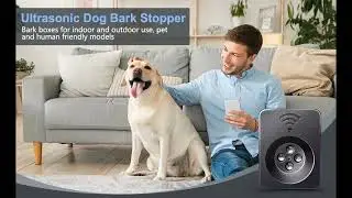 Tlettsteinkle Anti Barking Device (INTRODUCE)