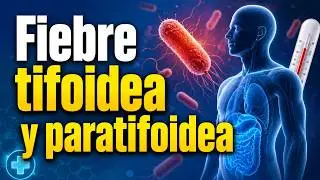 8&deg; Fiebre tifoidea y paratifoidea lm