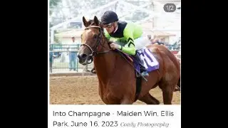 Into Champagne Maiden Win. TDN 'Rising Star' Distinction