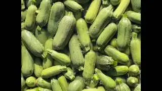 Palmillas
