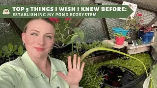 Top 5 Things I Wish I Knew Before Establishing My Pond Ecosystem