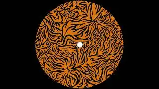 Roman Fl&uuml;gel - Flowers (Phonica Records)