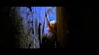 Four Flies on Grey Velvet (1971) - Best Scene