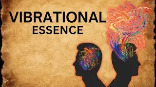 Understanding The Vibrational Dynamics Of Human Interaction