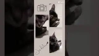 Semoga sehat selalu yah wini