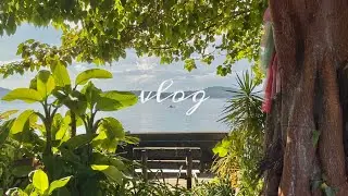 silent vlog; nature, animals & self care