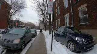 From Mont-Royal Homeward  Walkabout #montrealwalk
