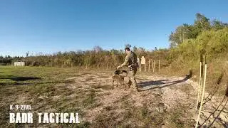 K-9 Ziva on the move with SOCOM SPEAR