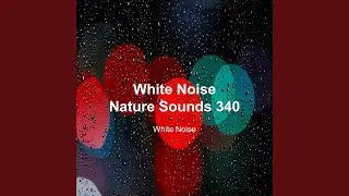 White Noise City Grass Bug Sounds for Sleeping