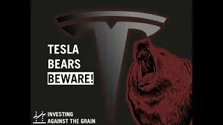 Tesla Bears DESTROYED! Ep 53
