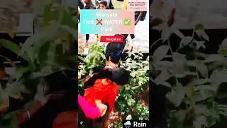 Bengaluru Rains 🌧️: Manyata Tech Park Floods #bengalururains #manyatatechpark