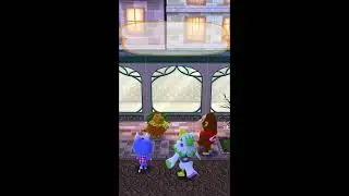 Animal Crossing Pocket Camp Complete - Unique Shop Display Windows