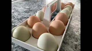 SECRET To Peeling Perfect Farm Fresh Boiled Eggs!