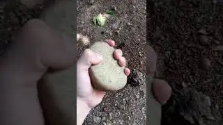 Attempt crush stone with hand day 4 #shorts #sports #workout #calisthenics #stone