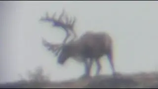 Adventure Mongers - You Live It, We Film It