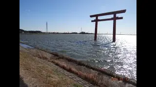 【茨木県・鹿嶋市 散歩 】〔 鹿島神宮・一之鳥居（西）〕※2026年01月12日（月）