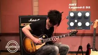 Legend Amps 2 Series D-2
