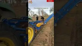 The carrot harvester is harvesting carrots in the field