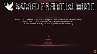 🌿Sacred & Spiritual Music | Forest Temples MUSIC | Instrumentals | CARIBBEAN SPICE MELODIES